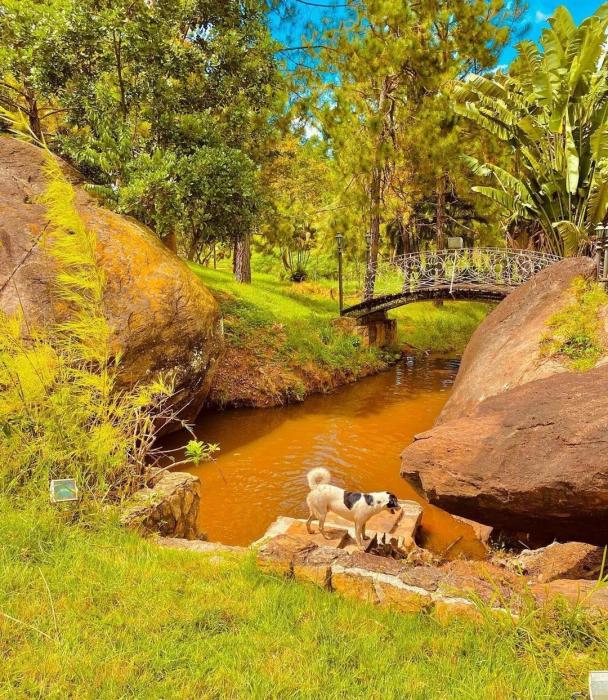 davi_amin_2155894720fb4c7286fa11d0059d7f44