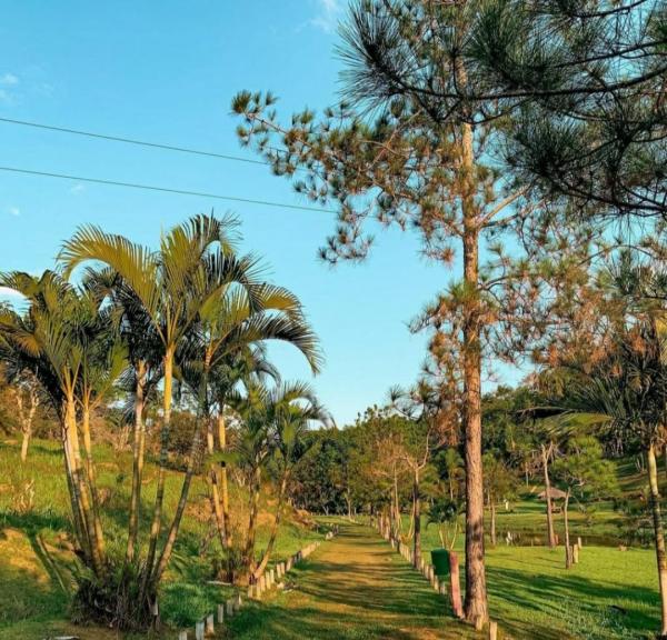 davi_amin_47acaa140c1748c597036627e1382320