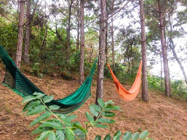 davi_amin_7fe4818f17e94942ac839416ea9ae795